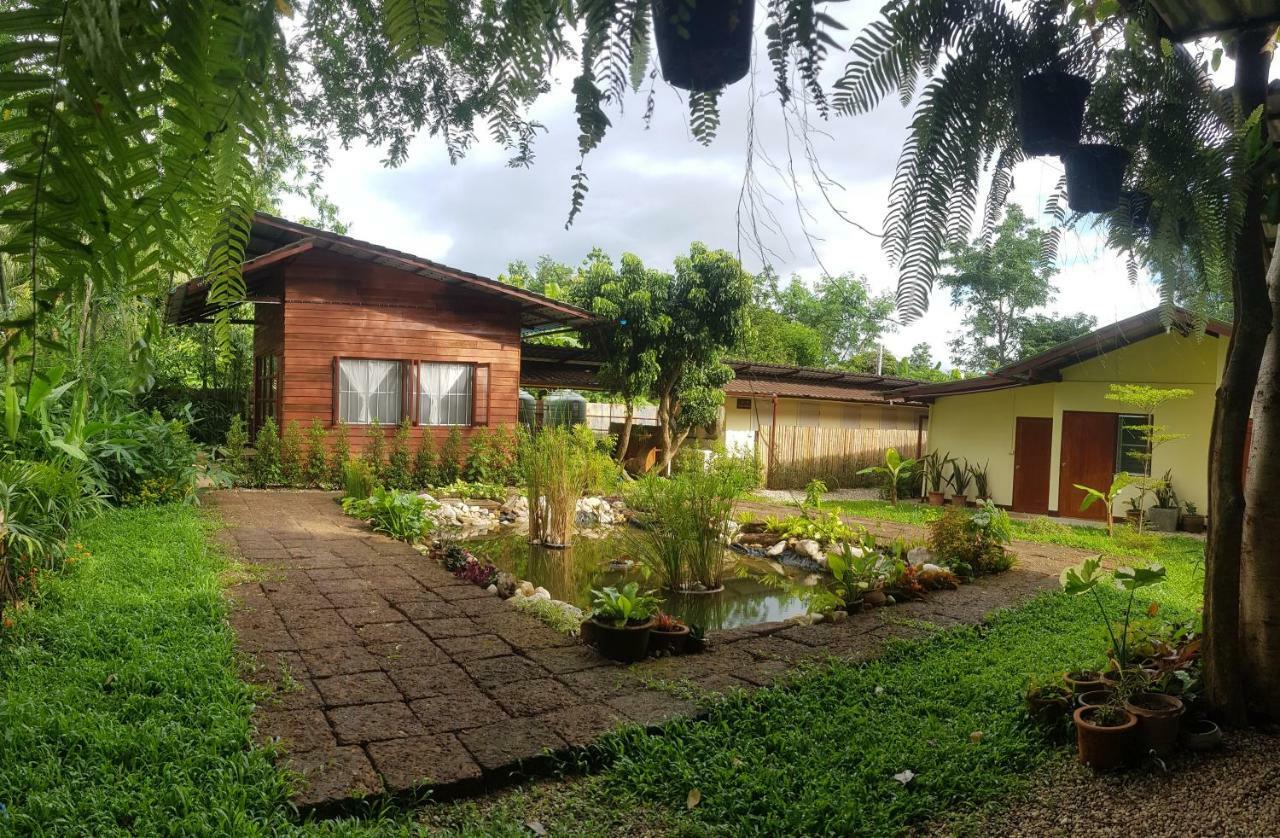 Brown House Chiangdao Hostel Chiang Dao Exterior foto